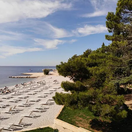 Luco Near The And Center Porec